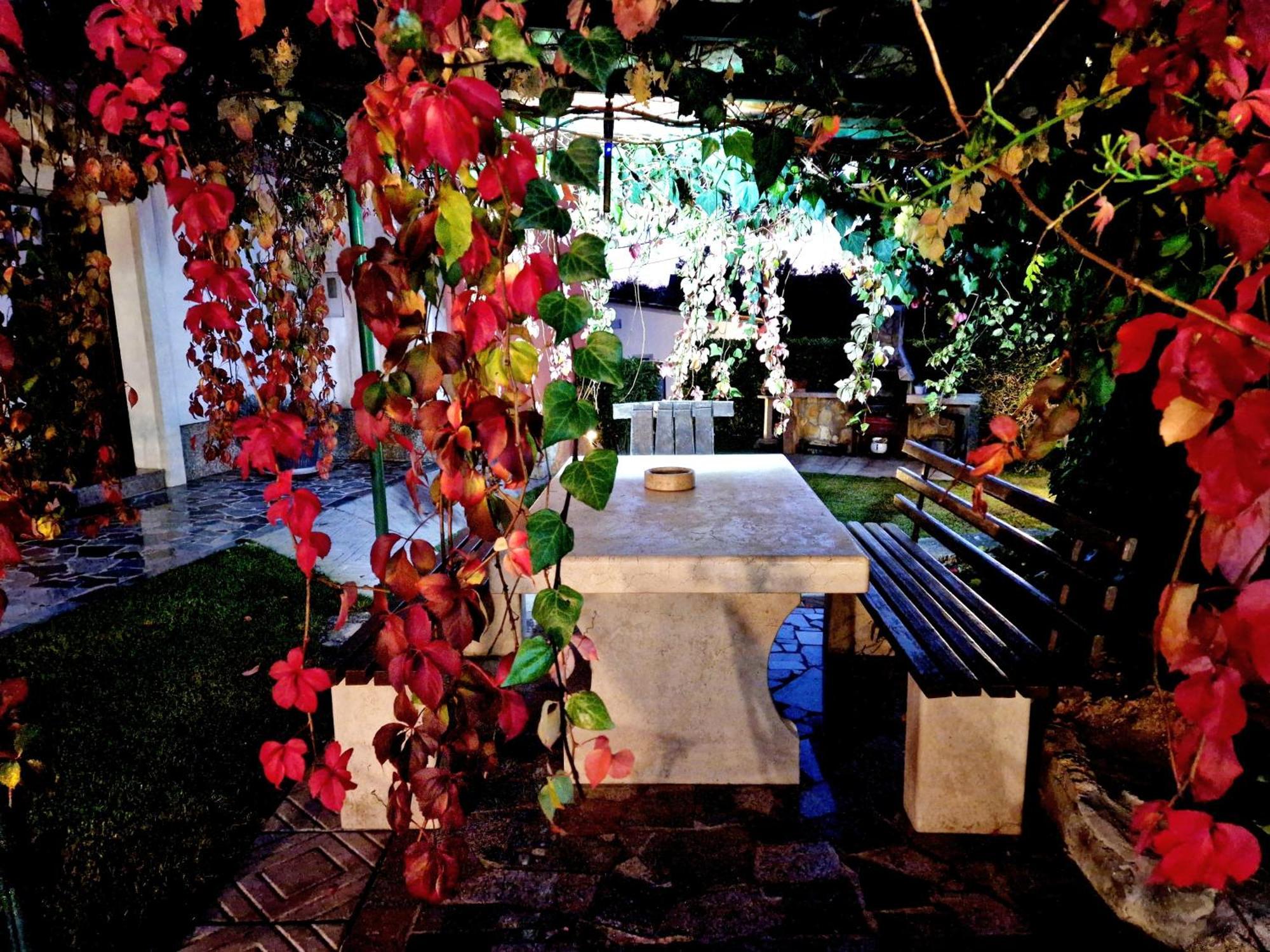 Casa Luana Villa Roč Dış mekan fotoğraf